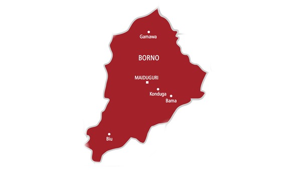 Explosion Claims Lives of Civilian Joint Task Force Members in Borno State