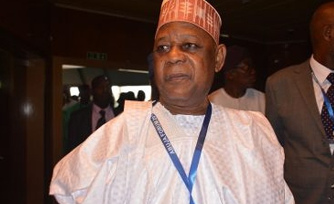 Former Defence Minister Blames Nigeria's Complexity for Insecurity Surge