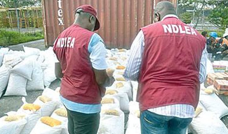 Group restates commitment to partnering with NDLEA in fighting drug abuse in Bauchi