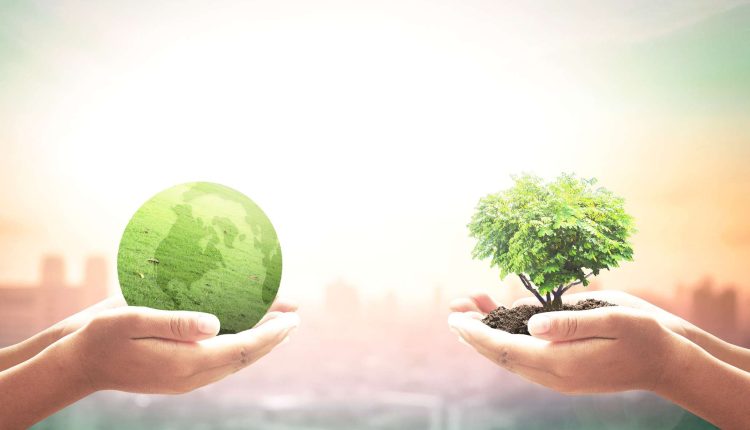 Advancing Green Investment for Sustainable Development: A Pathway for Global South Nations