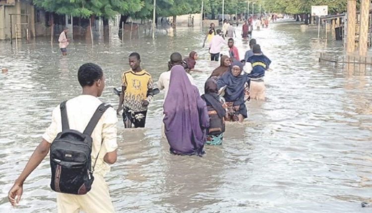 Concerned Citizens of the Northeast Lament Maiduguri Flooding, Urge Government Action