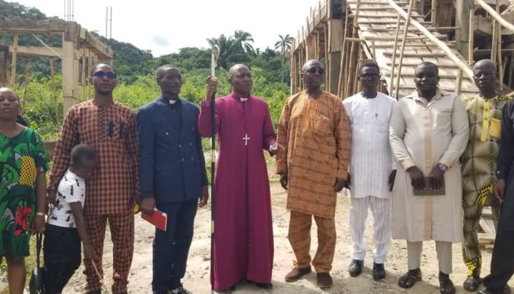 New University Project Set to Transform Professional Education