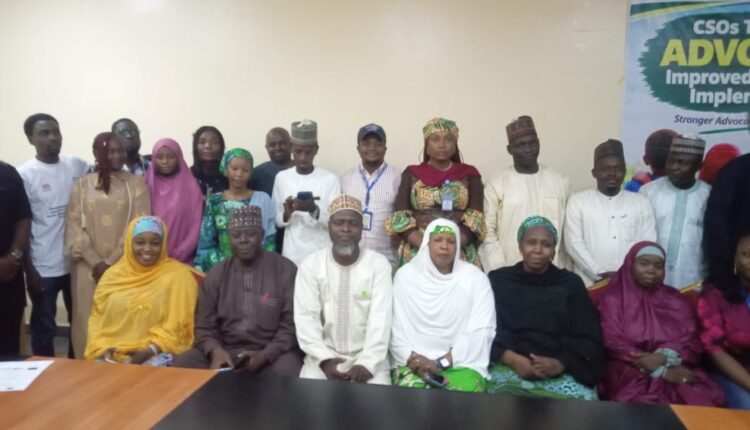 Borno: CSOs Urged to Advocate Budgetary Support for Child Rights Law