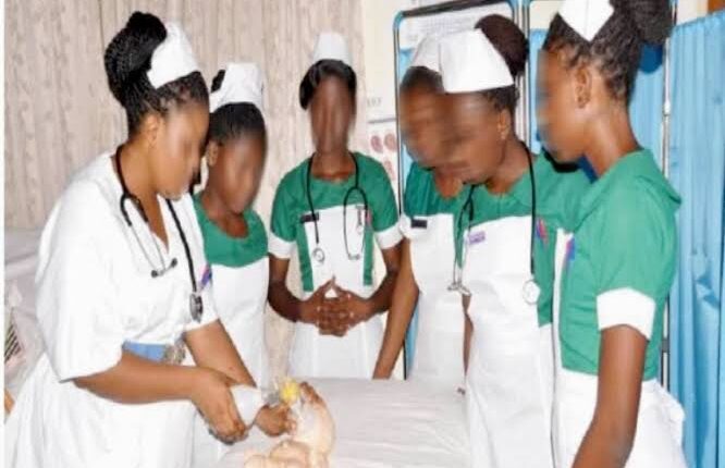 Danger in the Ward: The Rise of Unlicensed Nurses in Private Hospitals